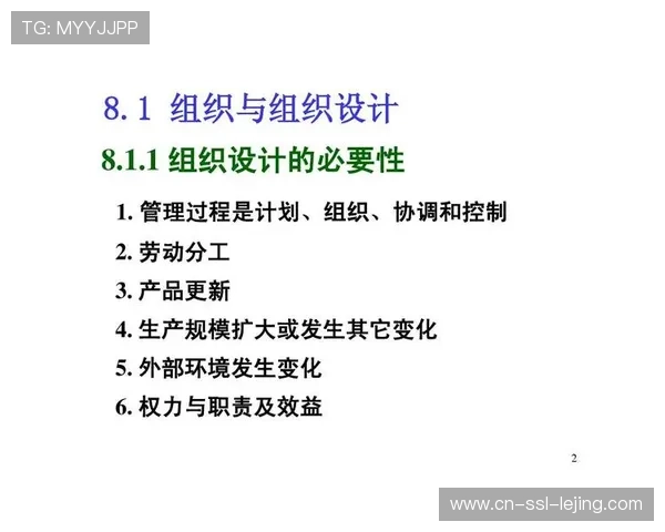柔性组织架构试点，适应快速变化环境